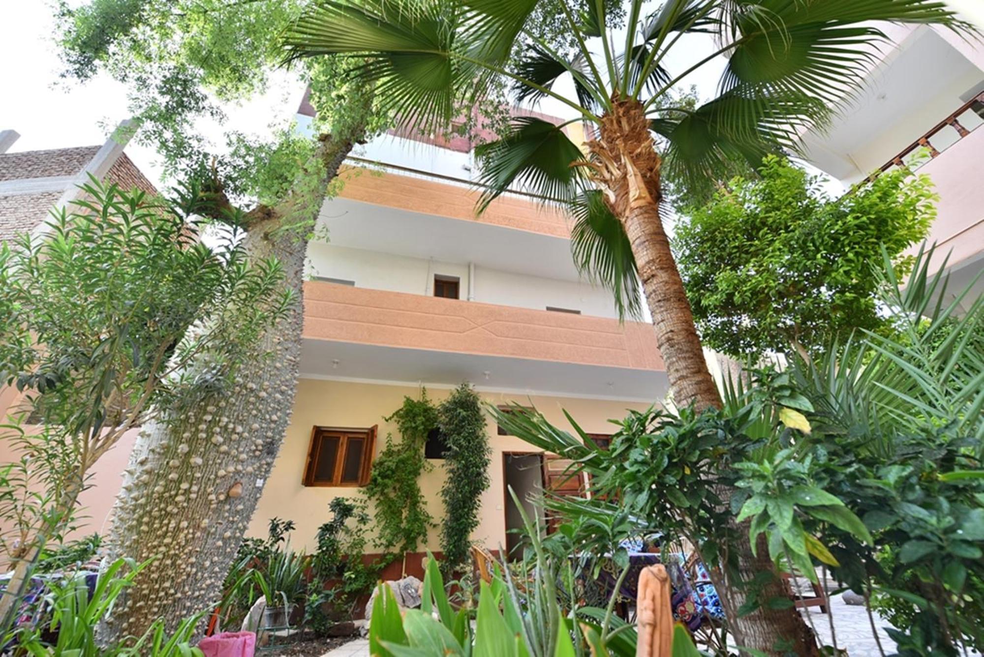 Amon Hotel Louxor Extérieur photo