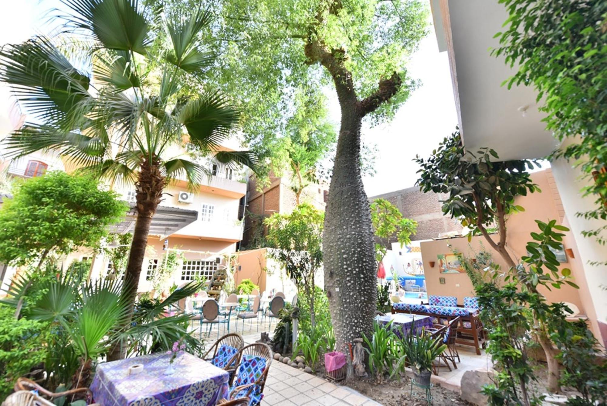 Amon Hotel Louxor Extérieur photo