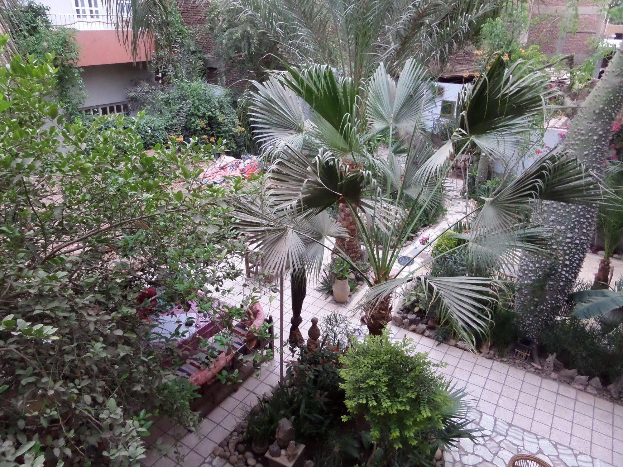 Amon Hotel Louxor Extérieur photo