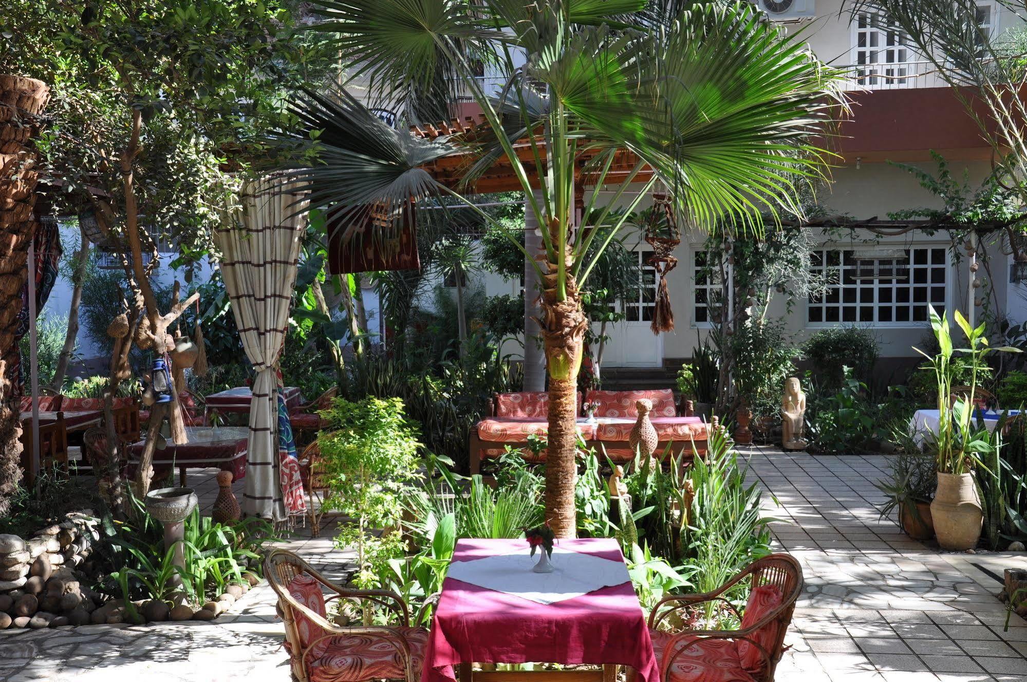 Amon Hotel Louxor Extérieur photo