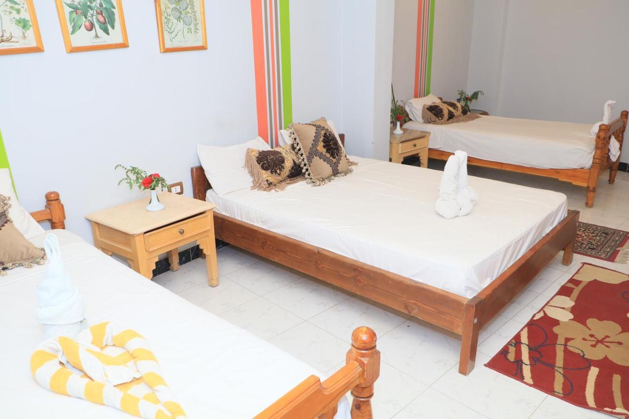 Amon Hotel Louxor Extérieur photo