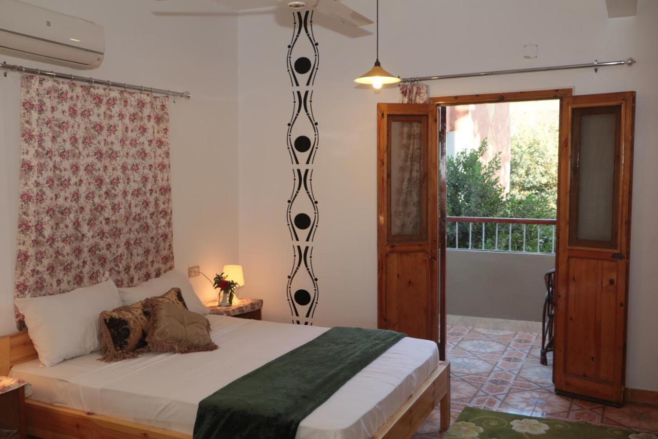 Amon Hotel Louxor Extérieur photo